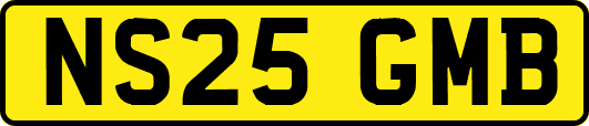 NS25GMB