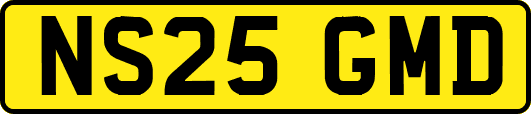 NS25GMD
