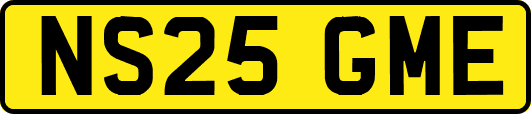 NS25GME