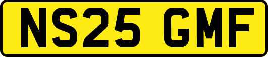 NS25GMF