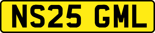 NS25GML