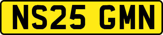 NS25GMN