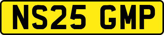 NS25GMP