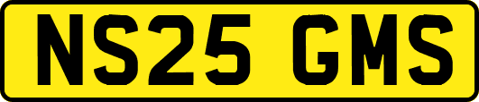 NS25GMS