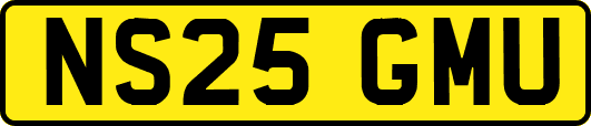 NS25GMU