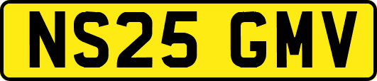 NS25GMV