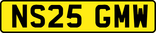 NS25GMW