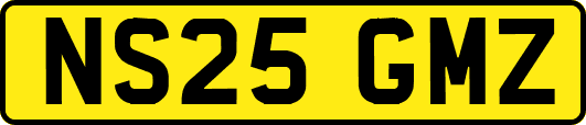 NS25GMZ