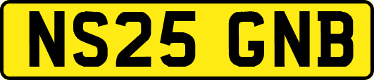 NS25GNB