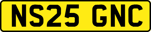 NS25GNC