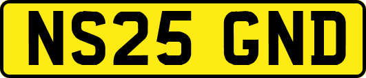 NS25GND