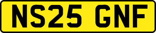 NS25GNF