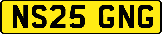 NS25GNG