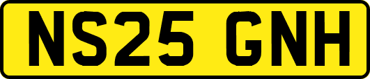 NS25GNH