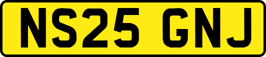 NS25GNJ