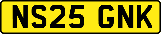 NS25GNK