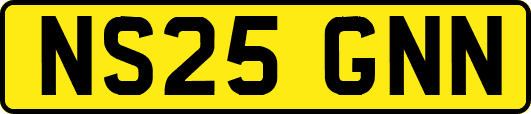 NS25GNN
