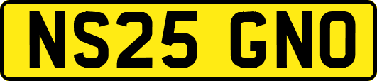 NS25GNO