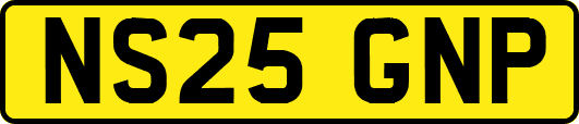 NS25GNP