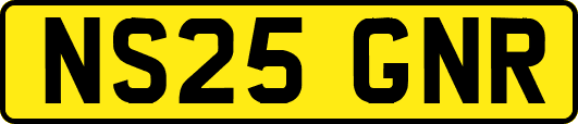 NS25GNR