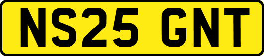 NS25GNT