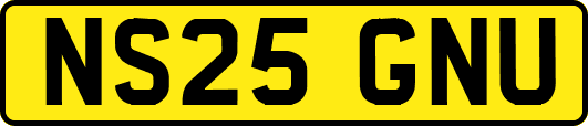 NS25GNU