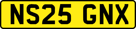 NS25GNX