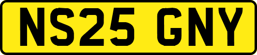 NS25GNY