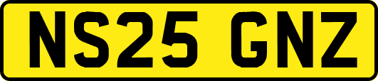 NS25GNZ