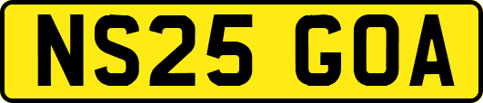 NS25GOA