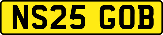 NS25GOB