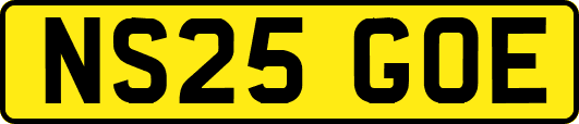 NS25GOE