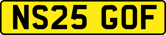 NS25GOF