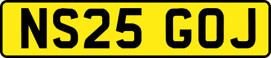 NS25GOJ