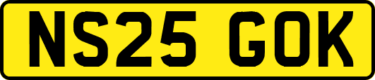 NS25GOK