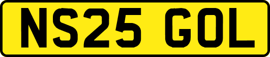 NS25GOL