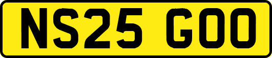 NS25GOO