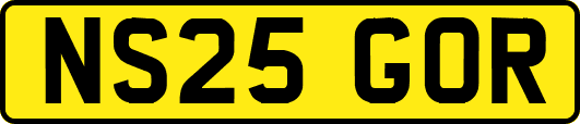 NS25GOR