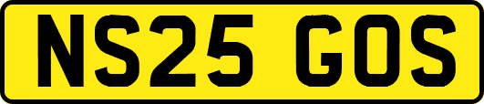 NS25GOS