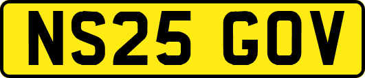 NS25GOV
