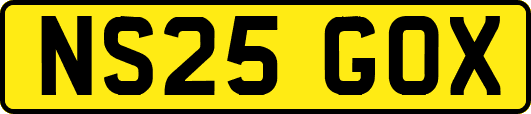 NS25GOX
