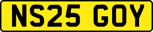 NS25GOY