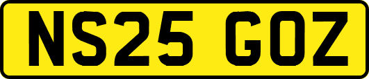 NS25GOZ
