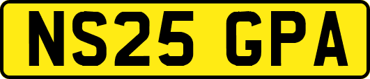 NS25GPA