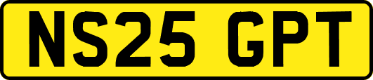NS25GPT