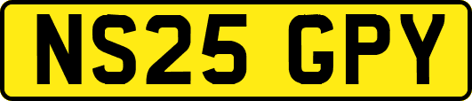 NS25GPY