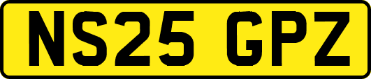 NS25GPZ