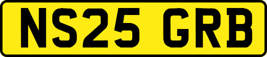 NS25GRB