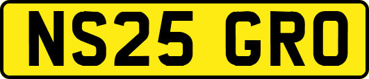 NS25GRO