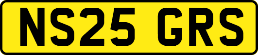 NS25GRS